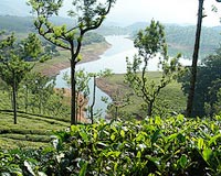 Places to See in Munnar