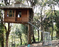 Tree House-Nature Zone Jungle Park, Munnar